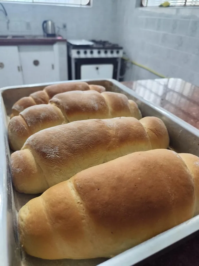 Pães feitos na nossa cozinha
