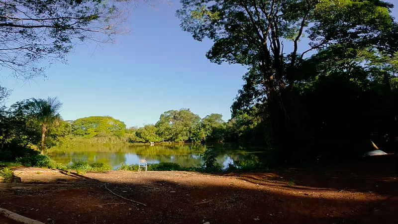 Margem do lago
